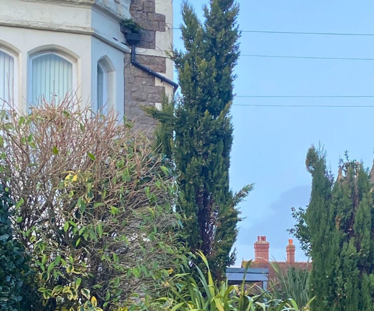 Practice Gallery Image - Clevedon